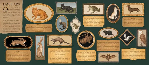 A Natural History of Magick by Poppy David
