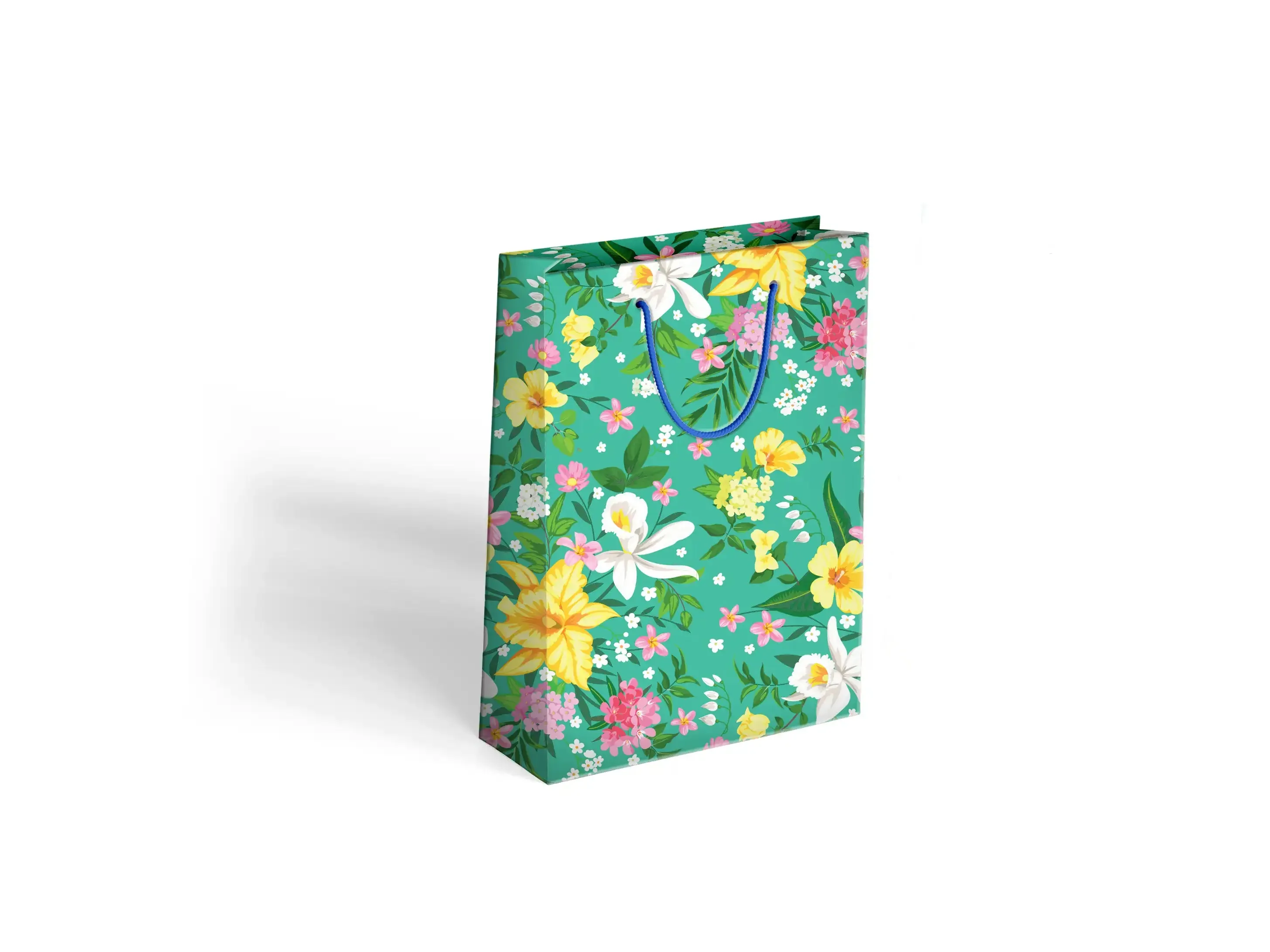 Gift bag (17x21cm)