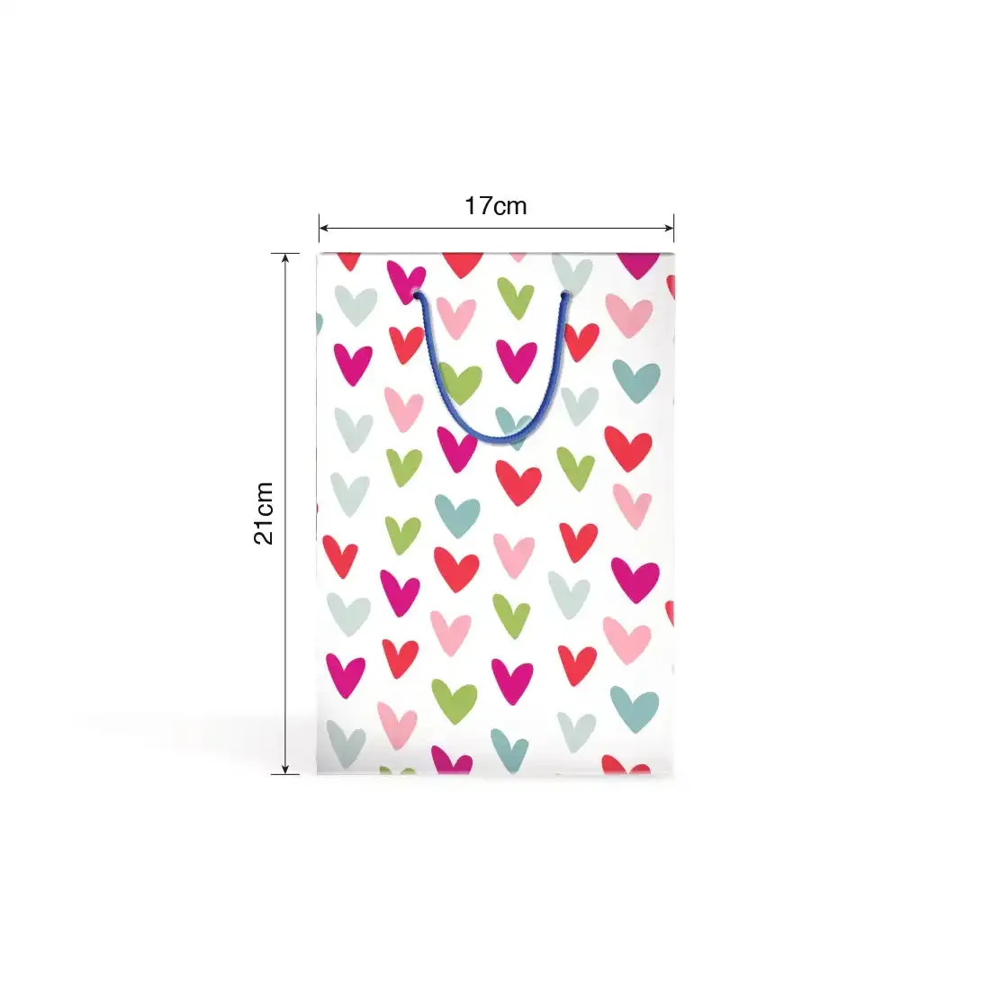 Gift bag (17x21cm)