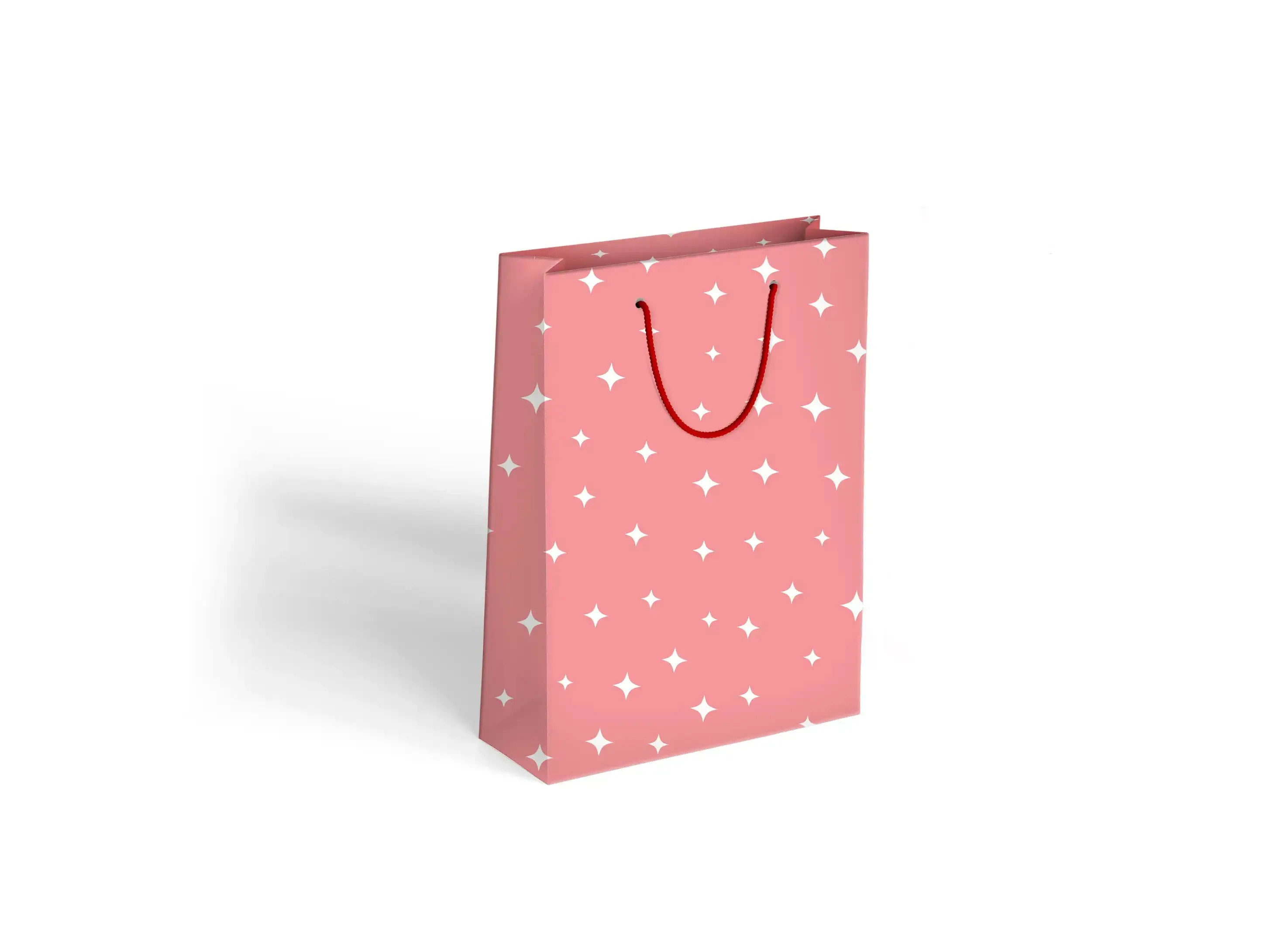 Gift bag (17x21cm)