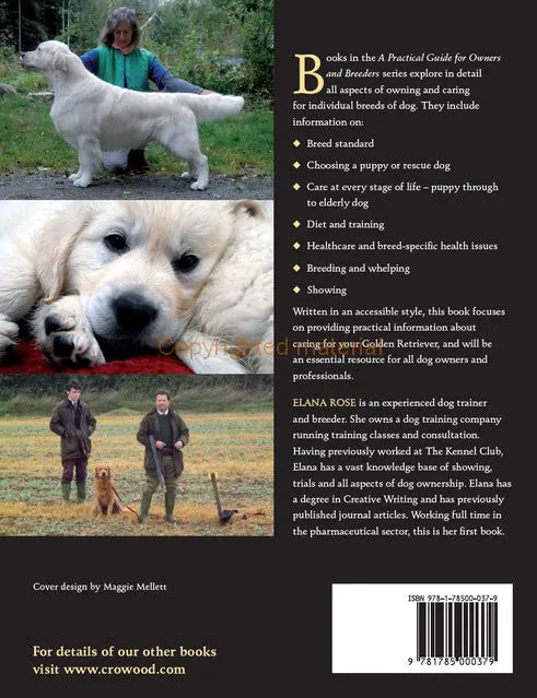 Golden Retrievers