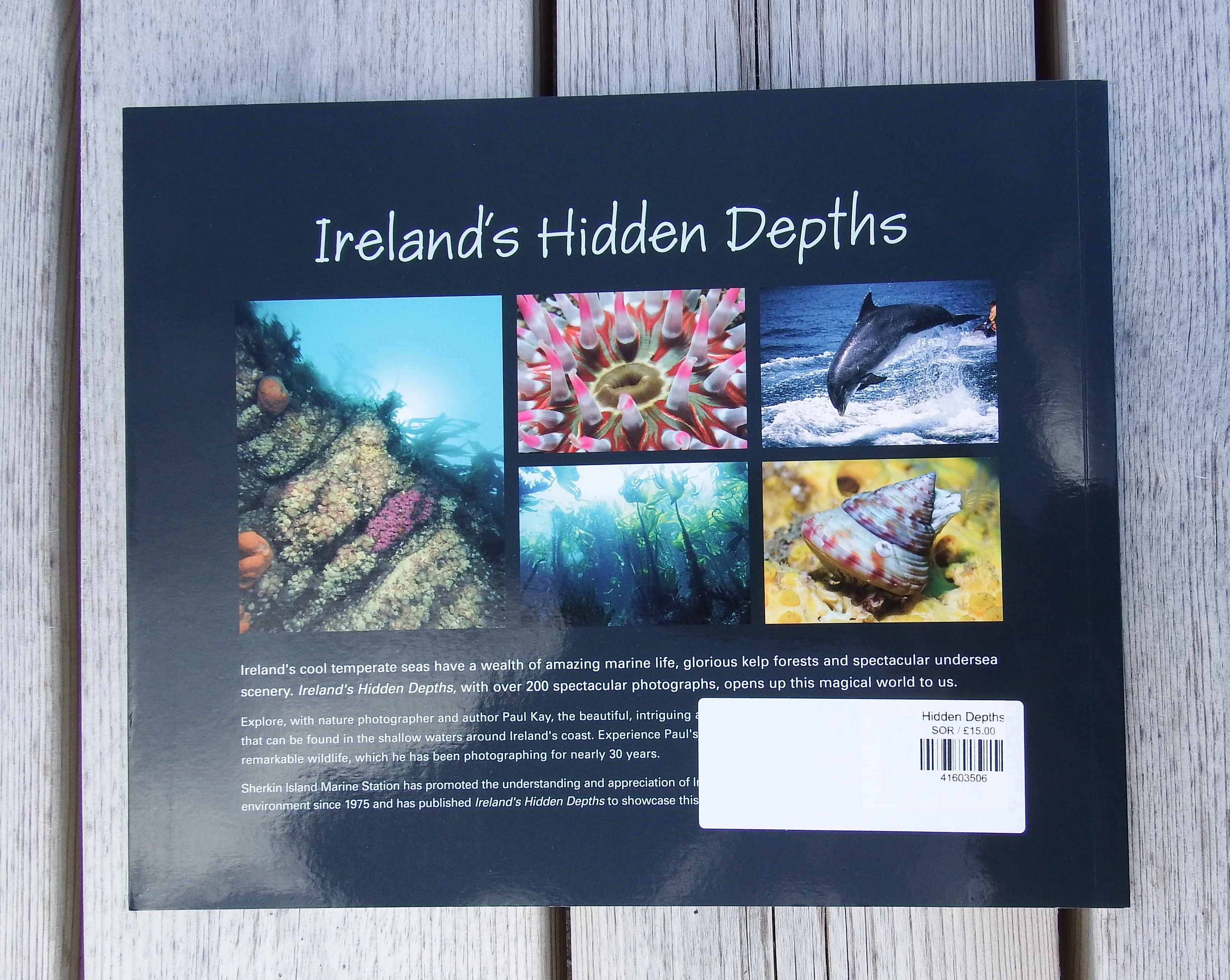 Hidden Depths