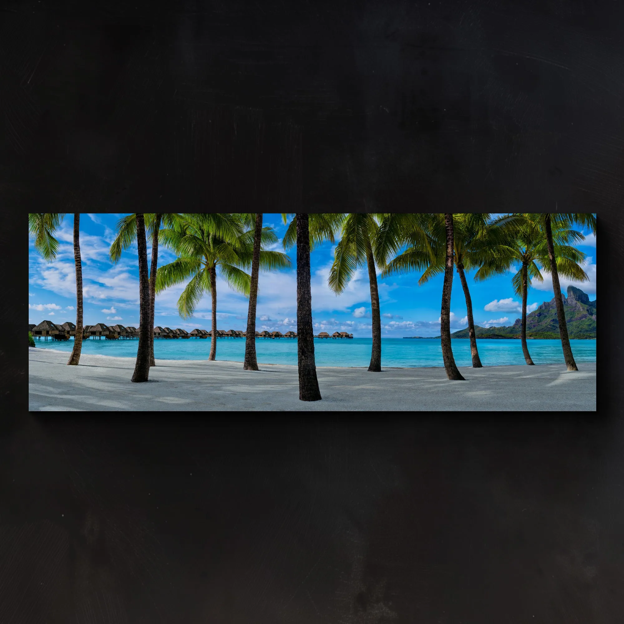 Hidden Shores