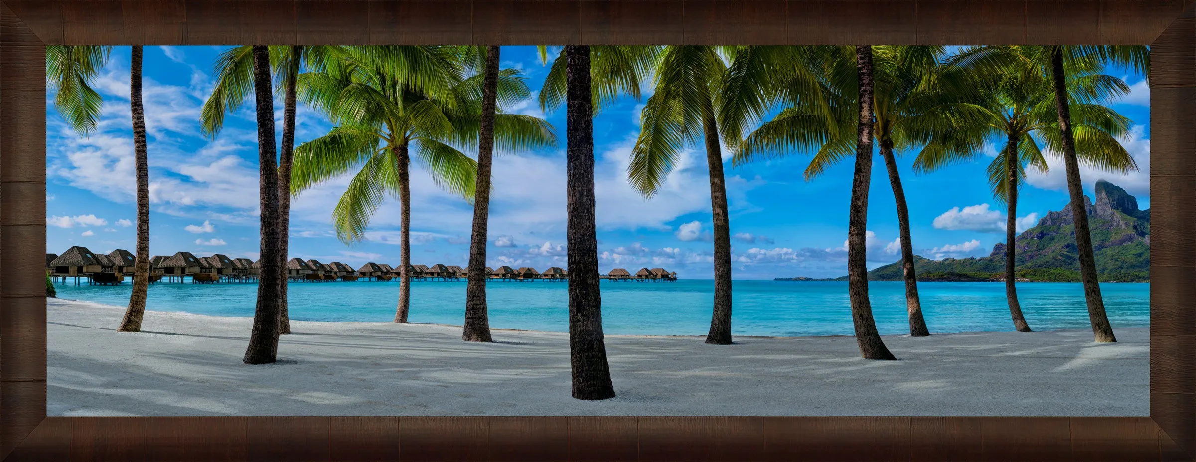 Hidden Shores