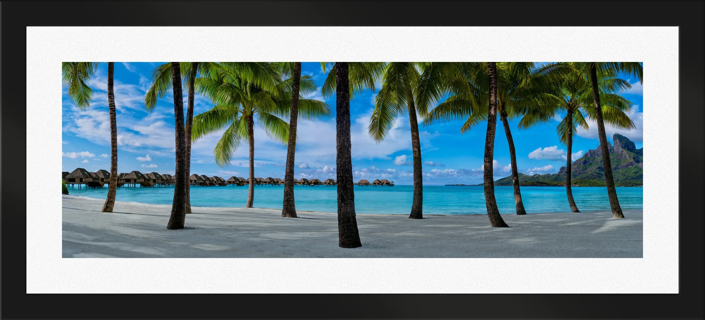 Hidden Shores