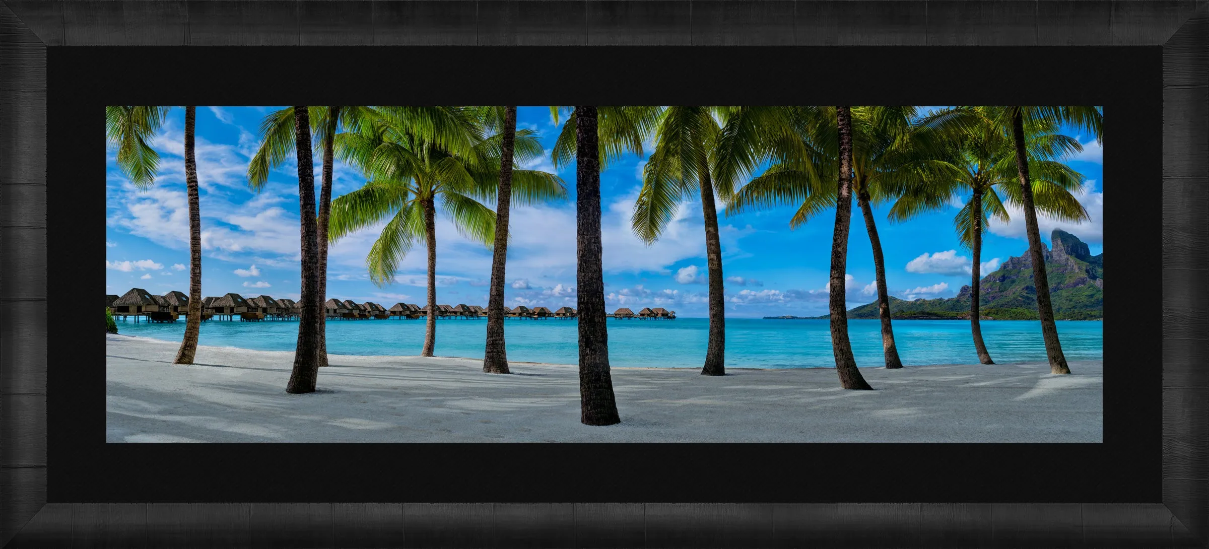 Hidden Shores