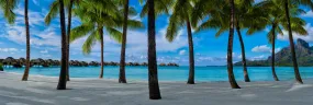 Hidden Shores