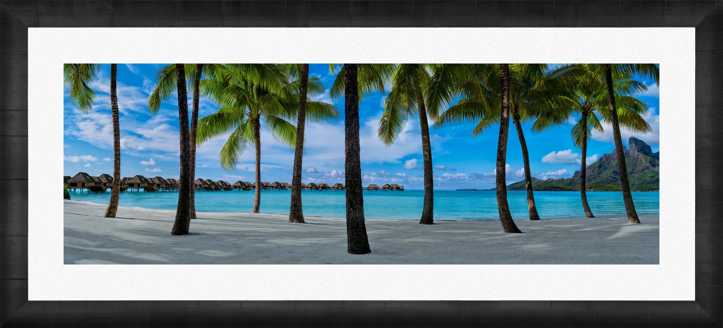 Hidden Shores