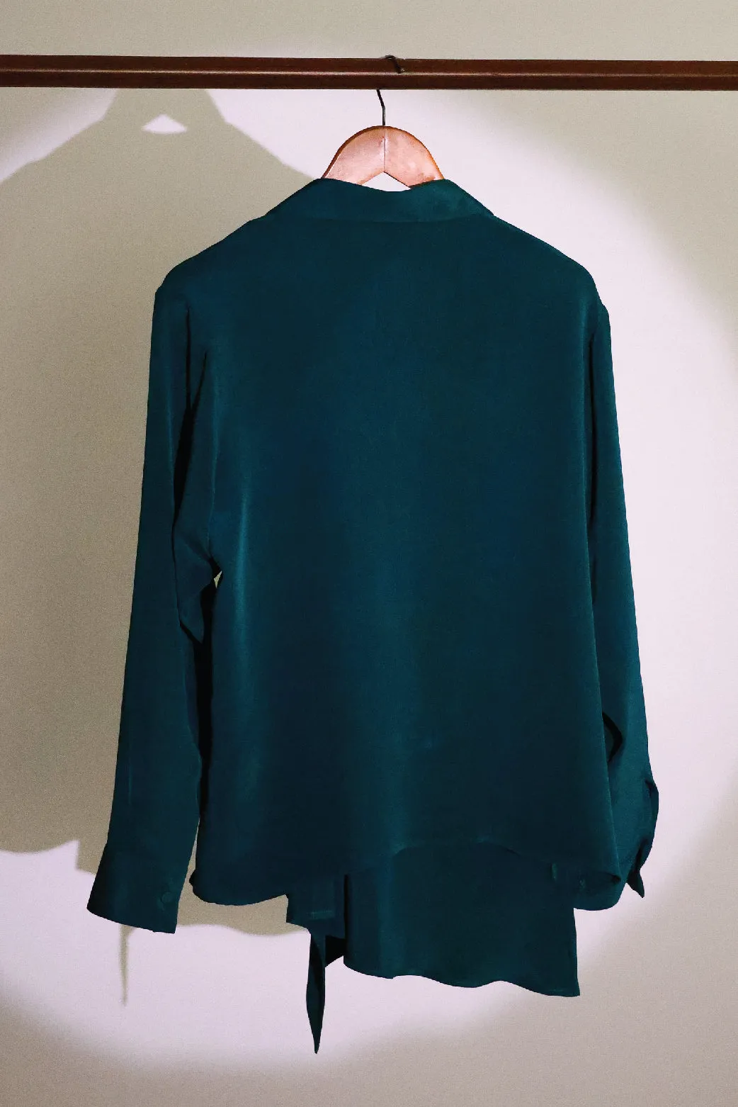 hidden zari shirt