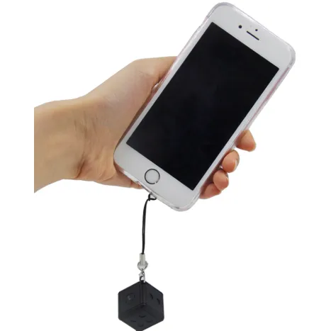 Keychain Hidden Cam